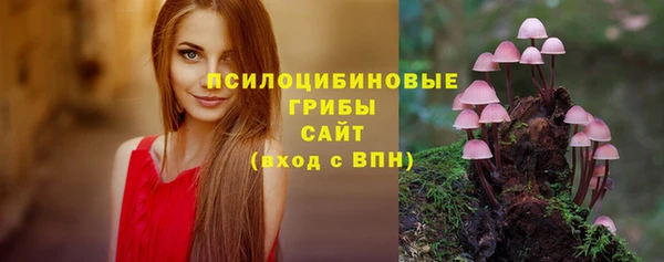 соль ск Алексеевка