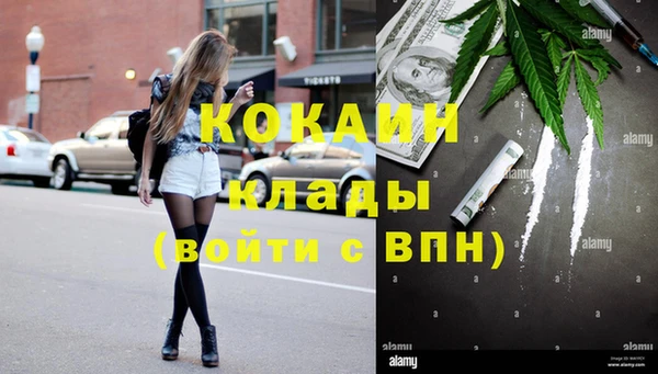 соль ск Алексеевка