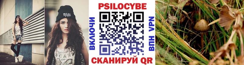 дарнет шоп  Бирск  Галлюциногенные грибы Magic Shrooms 
