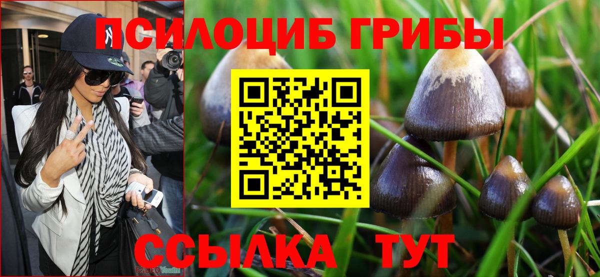 Галлюциногенные грибы MAGIC MUSHROOMS  что такое наркотик  Бирск  Вход с VPN 
