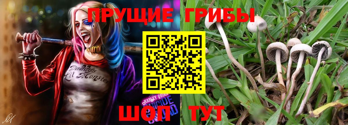 Галлюциногенные грибы мухоморы Бирск